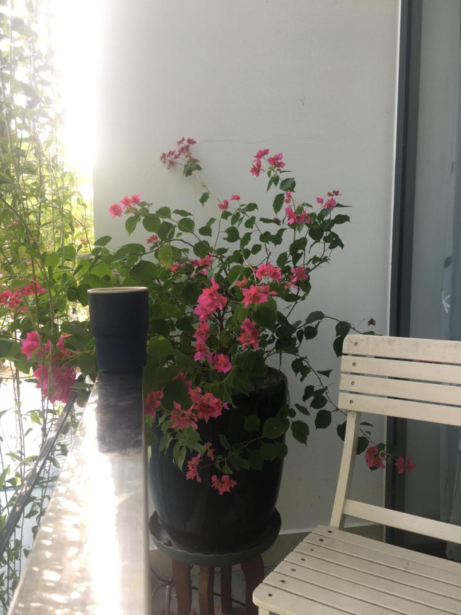 La Gai Homestay Hội An Kültér fotó